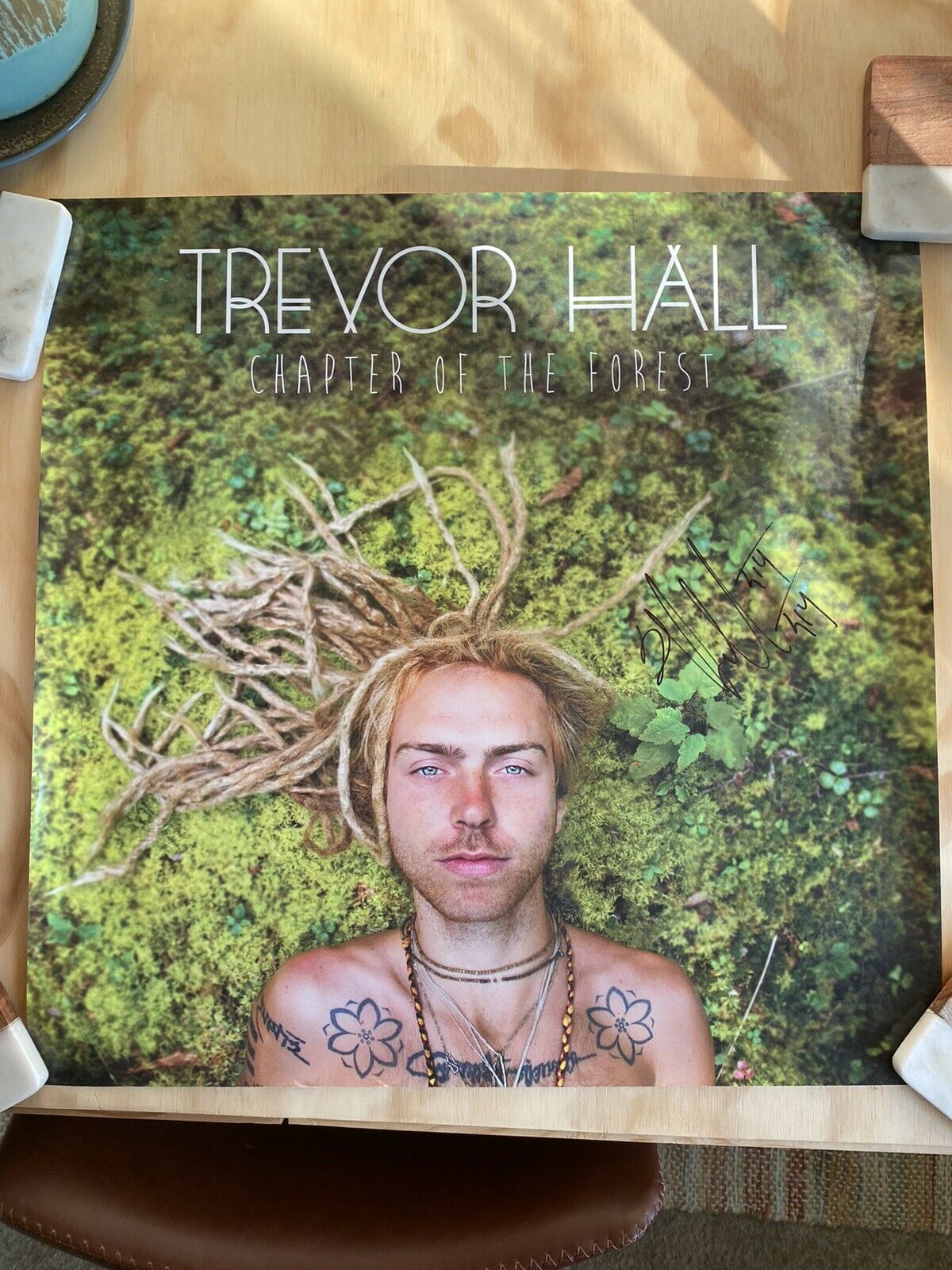 Trevor Hall Signed Chapter Of The Forest 20x20 Poster