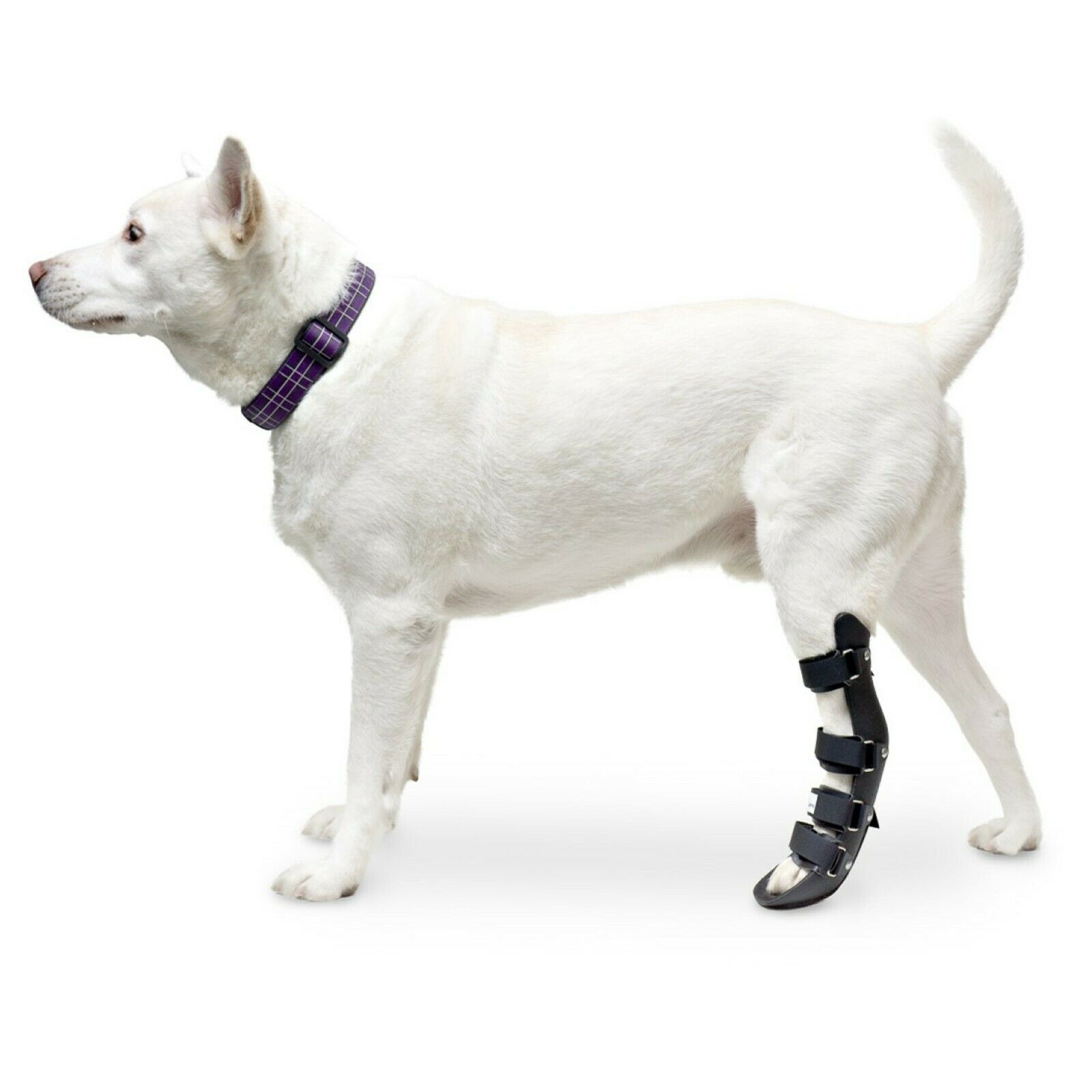 Walkin' Pet Splint For Dogs | Canine Rear Foot Splint Helps Brace Lower Leg