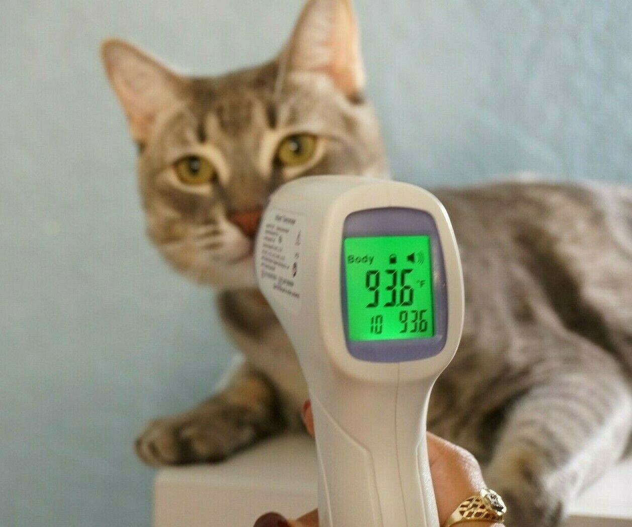 Baby Adult Thermometer Infrared Gun Digital Forehead Body Pet Temperature Ir Fda