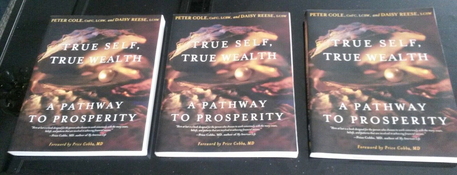 Lot Of 3 Books True Self, True Wealth A Pathway To Prosperity Price Cobbs New