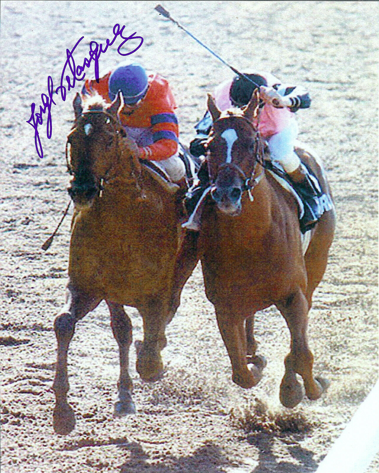 Hall Of Fame Jockey Jorge Velasquez  Autographed 8x10 Color Racing Photo