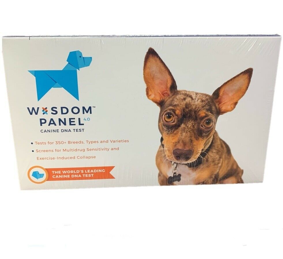 Wisdom Panel 4.0 Breed Identification Dog Dna Test Kit Canine Ancestry Kit