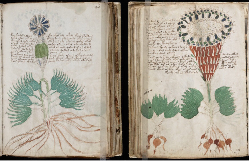 The Mysterious Voynich Manuscript Cipher Cryptography Unsolved Code On Dvd