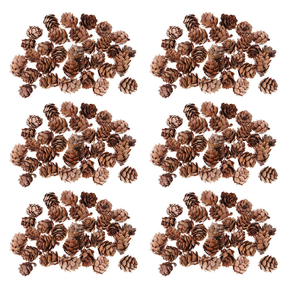 180pc Natural Dried Pine Cones Mini Size For Vase Filler Crafting Decoration