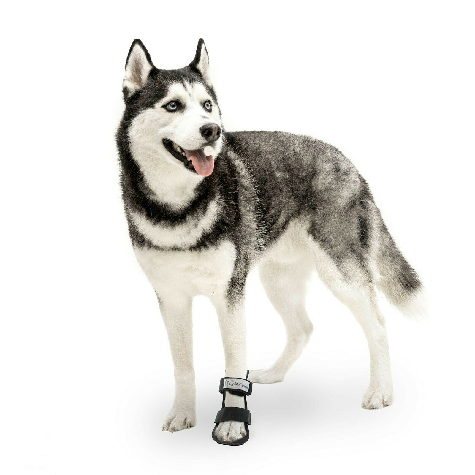Walkin' Pet Splint For Dogs | Dog Bootie Style Foot Splint For Dogs W/ Arthritis