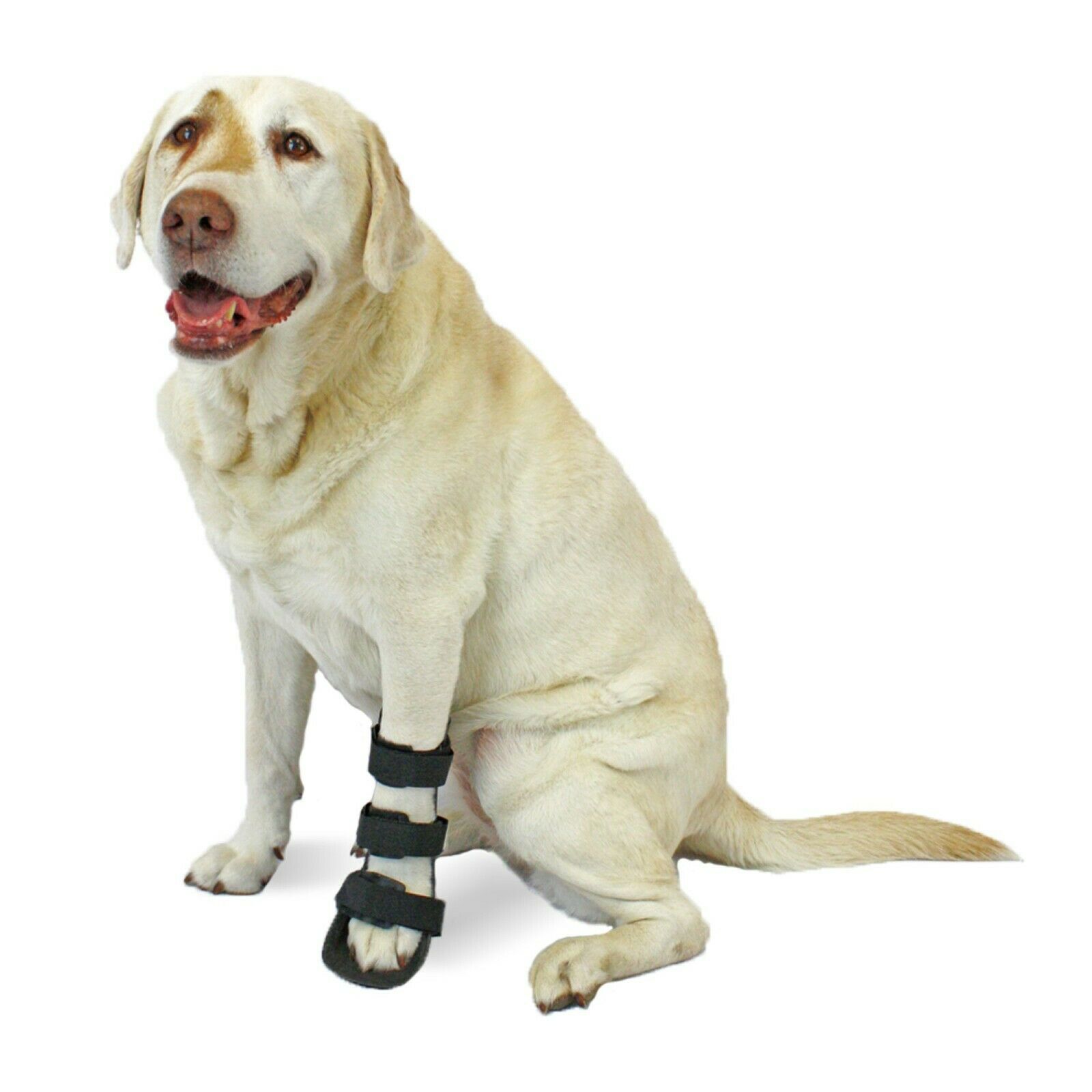 Walkin' Pet Splint For Dogs | Front Leg Foot Splint For Dogs With Arthritis